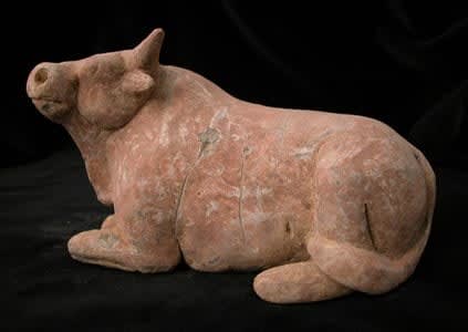 Tang Terracotta Sculpture of a Recumbent Ox, 618 CE - 906 CE