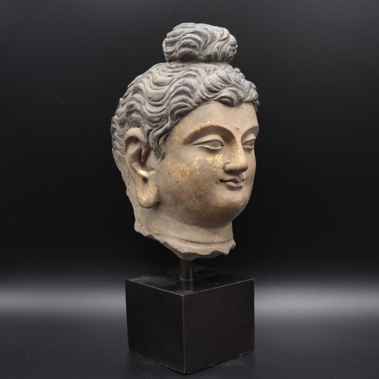Gandharan Stucco Head of the Buddha, 100 to 300 CE