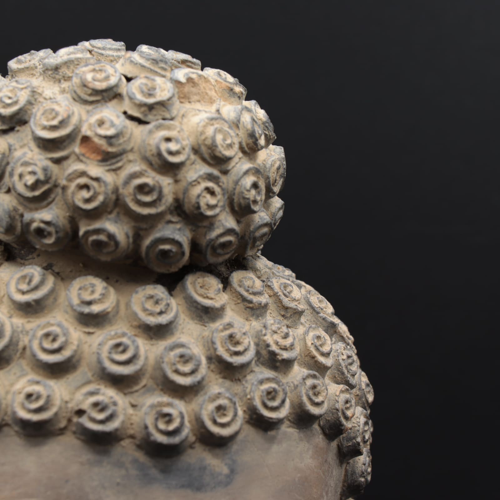 Gandharan Stucco Head of the Buddha, 100 to 300 CE