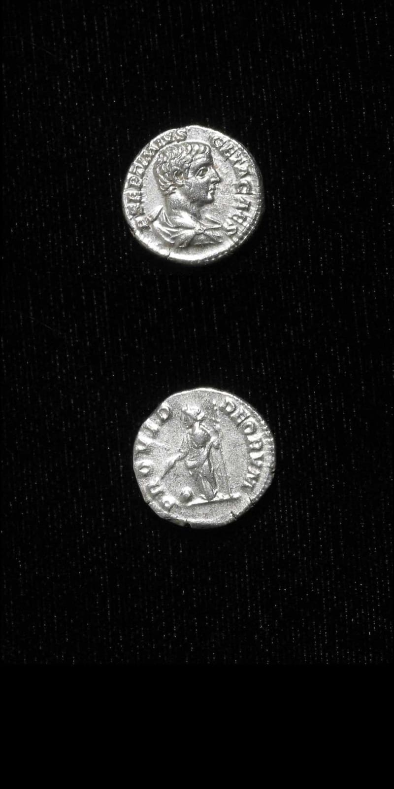 Silver Denarius of Geta Struck While Caesar, 202 CE - 209 CE
