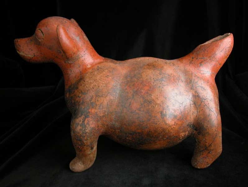 Colima Vessel in the Form of a Dog, 300 BCE - 300 CE