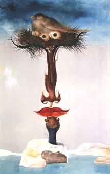 Endre Szasz - Africa