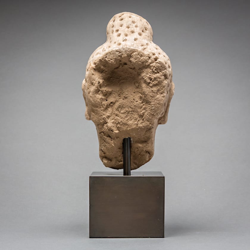 Gandharan Stucco Buddha Head, 100 CE - 300 CE