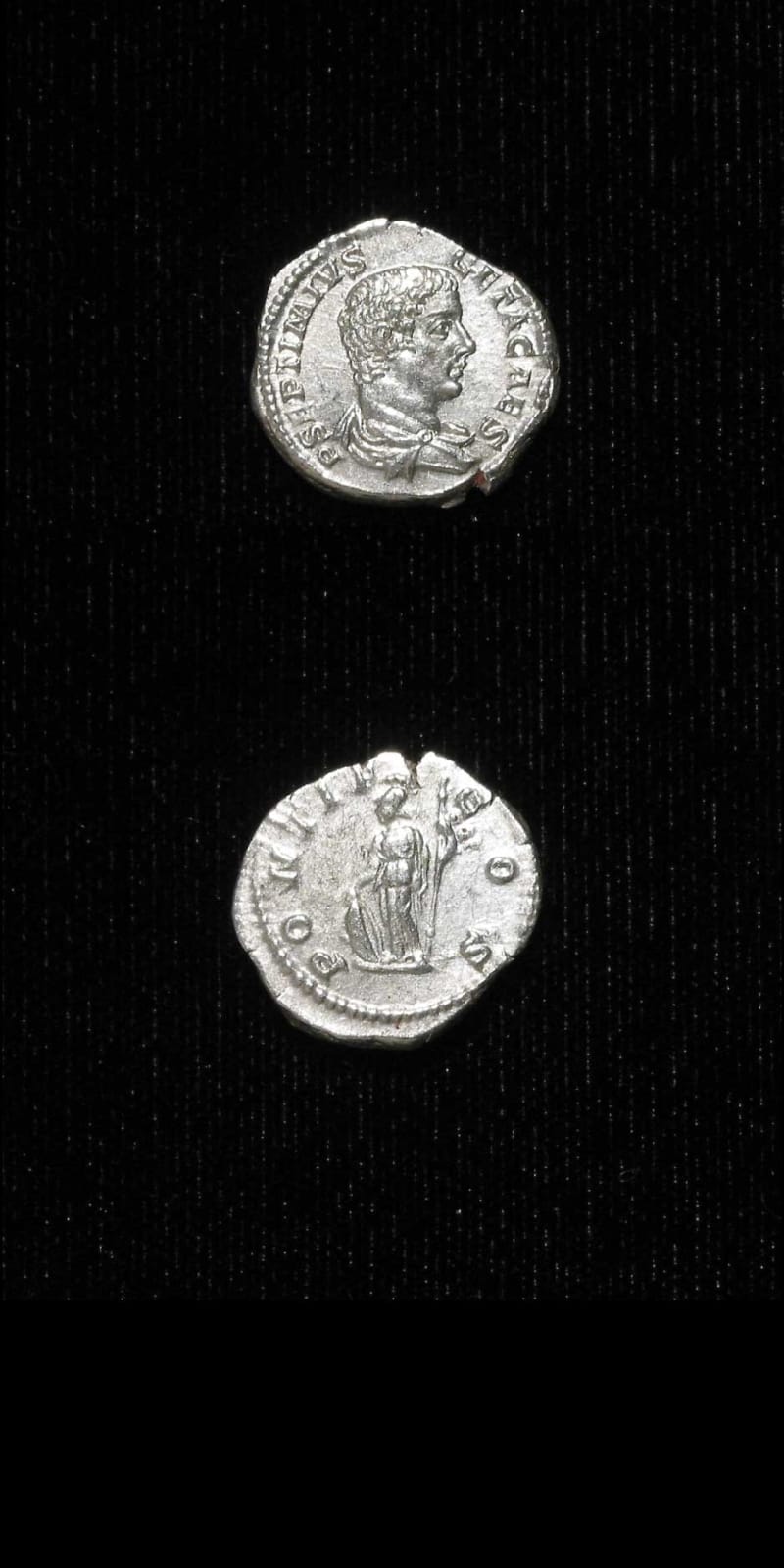 Silver Denarius of Geta Struck While Caesar, 202 CE - 209 CE