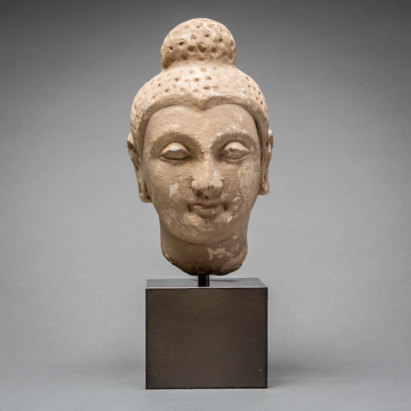 Gandharan Stucco Buddha Head, 100 CE - 300 CE