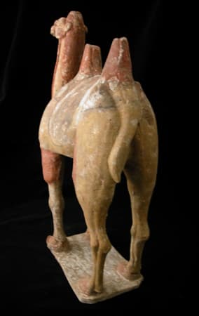 Tang Terracotta Sculpture of a Camel, 618 CE - 906 CE
