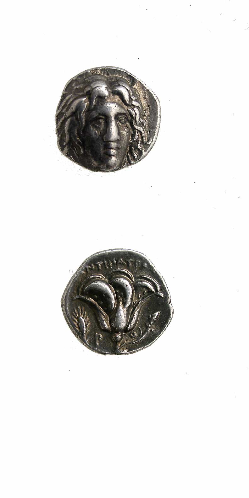 Silver Stater of Rhodes, 4 Century BCE - 3rd Century BCE