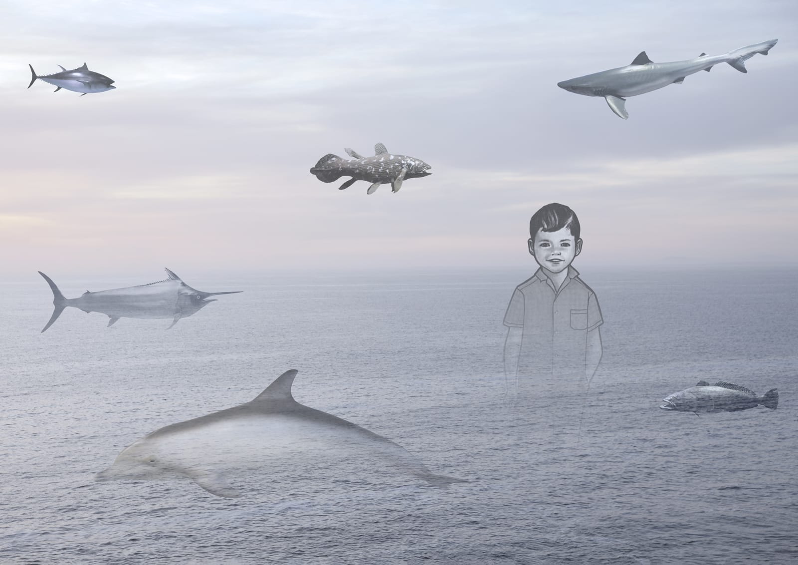 Lien Botha, Like a Fish out of Water, 2019