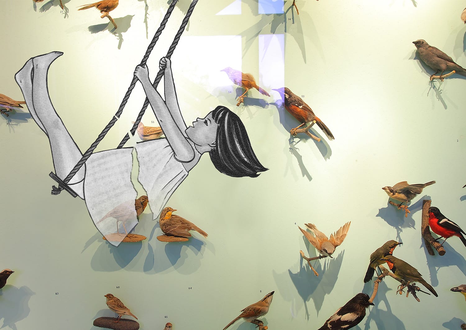 Lien Botha, Birds fragile like glass/Saartjie, 2018