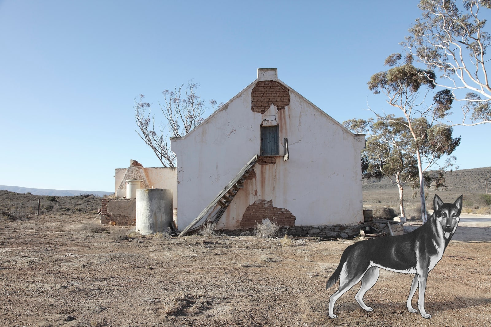 Lien Botha, Portrait of the Artist as a Dog, 2019
