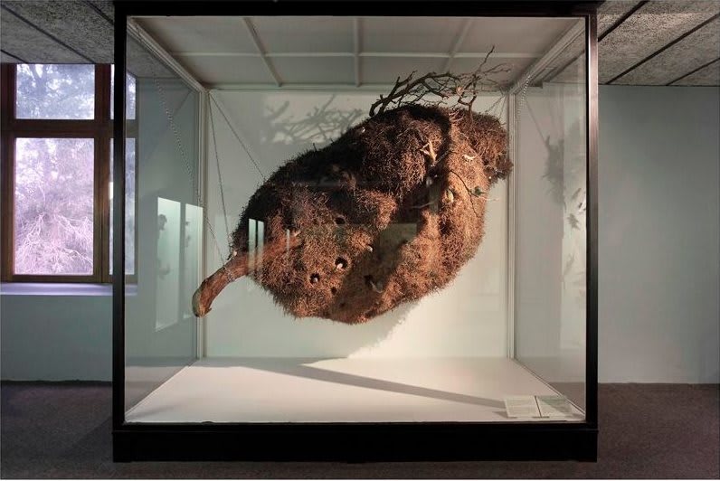Lien Botha, Parrot Jungle, Sociable Weaver's Nest, South African Museum, Cape Town, 2009