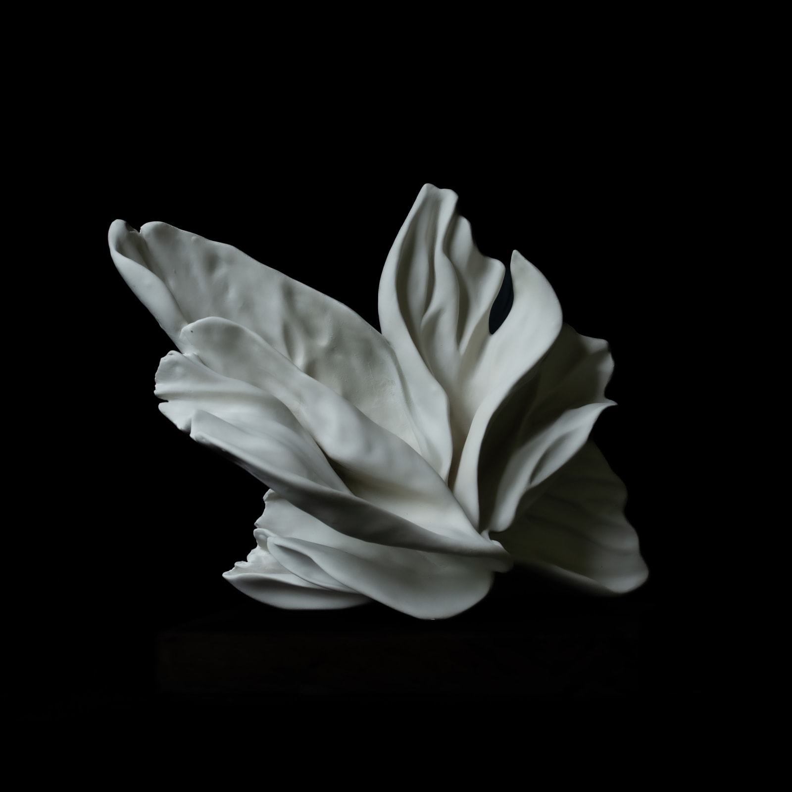 Amy Thai, Flux II / 流 II (Liú II), 2025