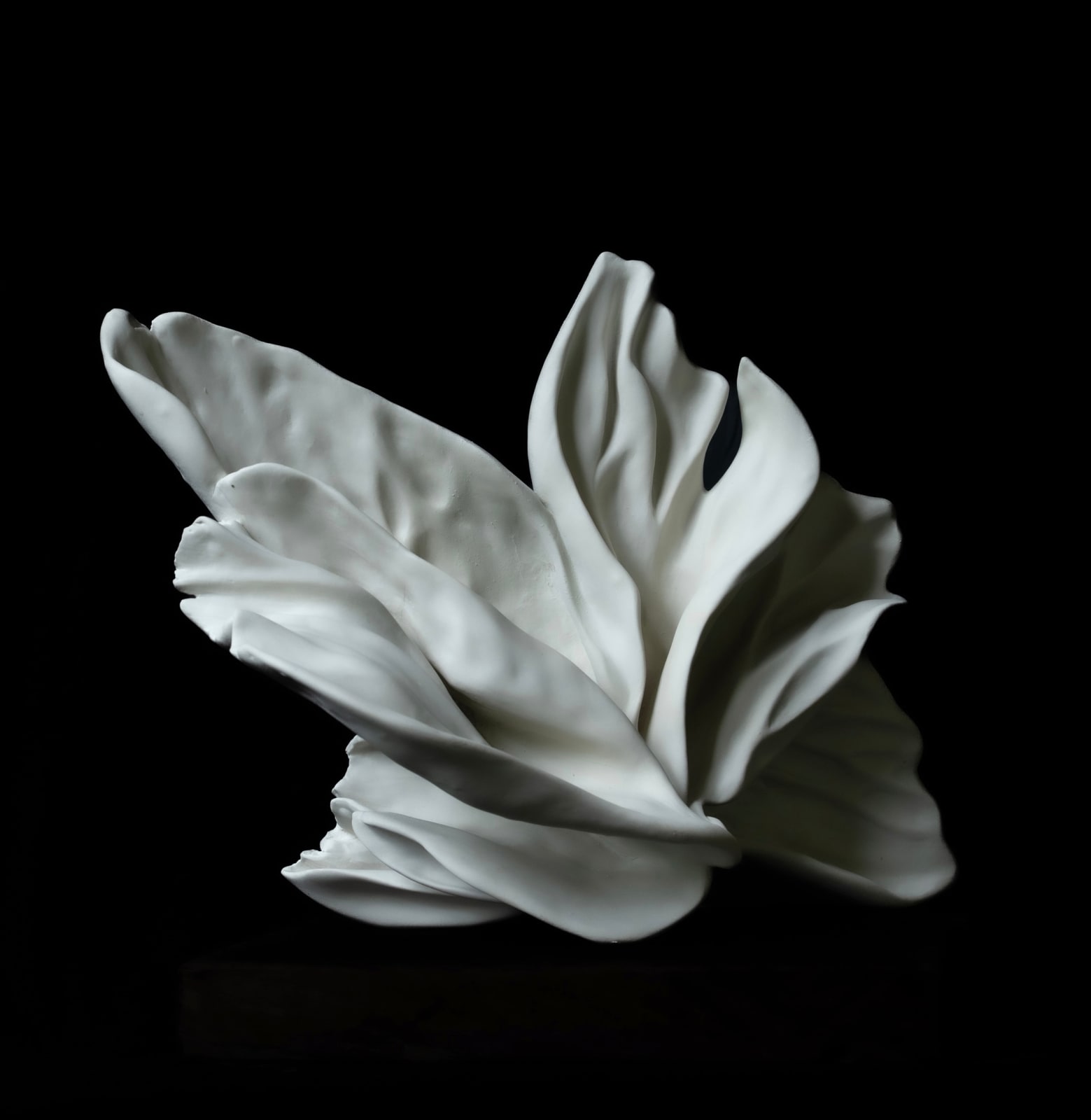 Amy Thai, Flux II / 流 II (Liú II), 2025