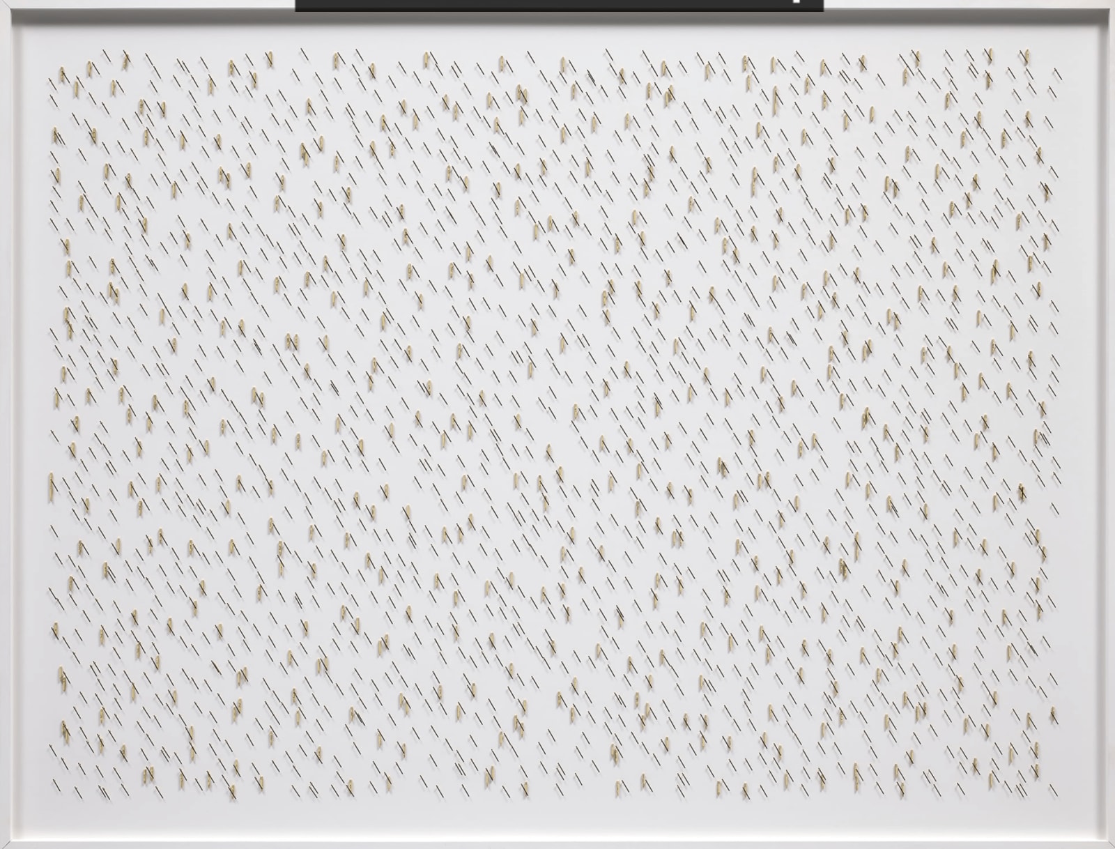 Alicja Kwade, Rain (0.5 hour / 0.5 meter), 2020