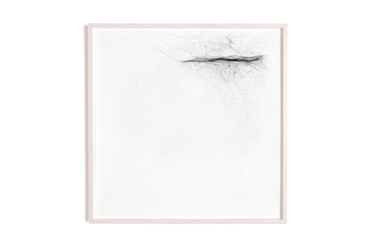 Thomas Saraceno, Solitary semi-social mapping of HS 1946+7658 by a solo Nephila senegelensis - one week and a solo Cyrtophora citricola - three weeks, 2016