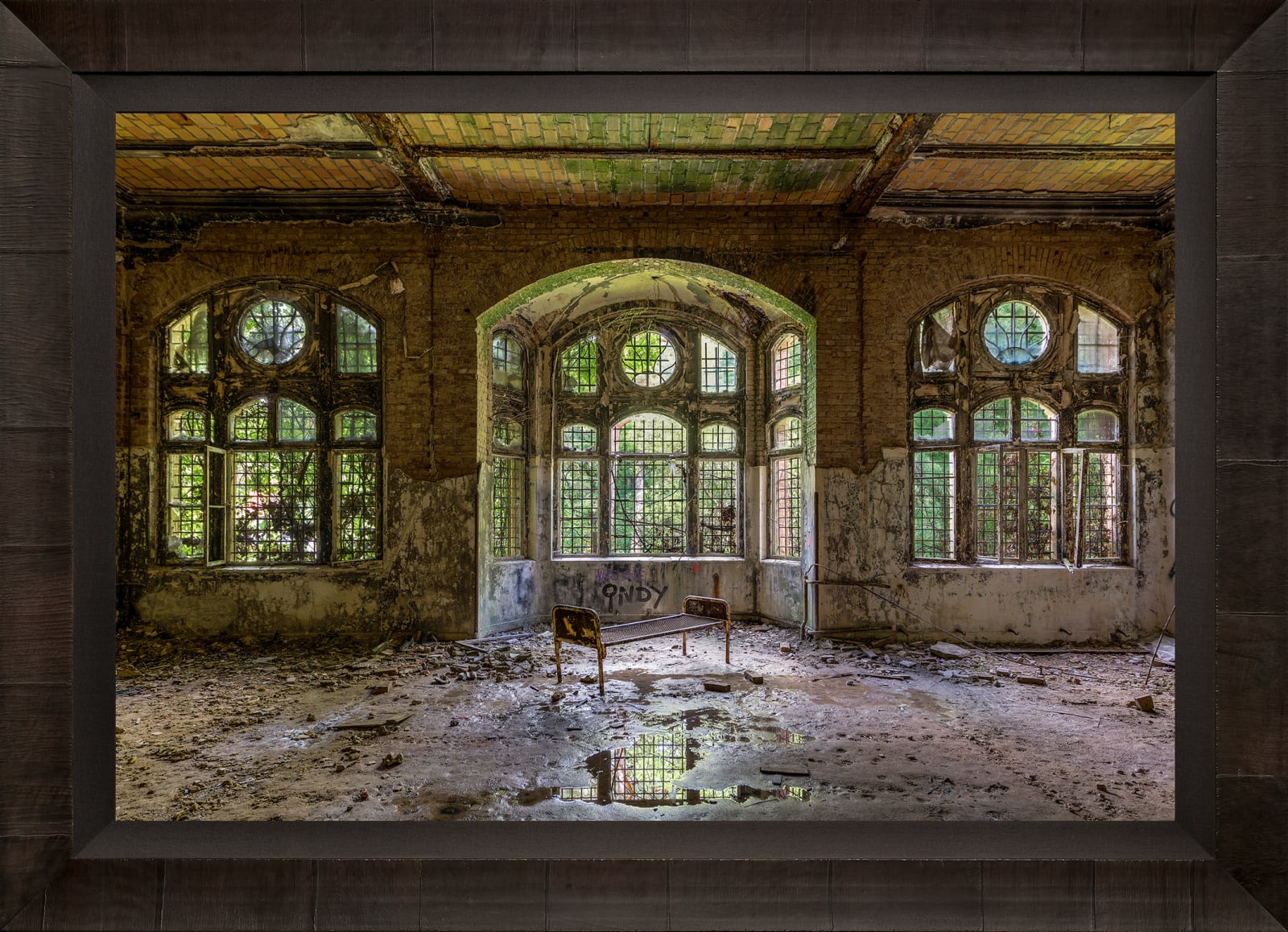 Mario Basner, Beauty Forgotten, Tabacchino Frame, Dark Ash, Black Liner