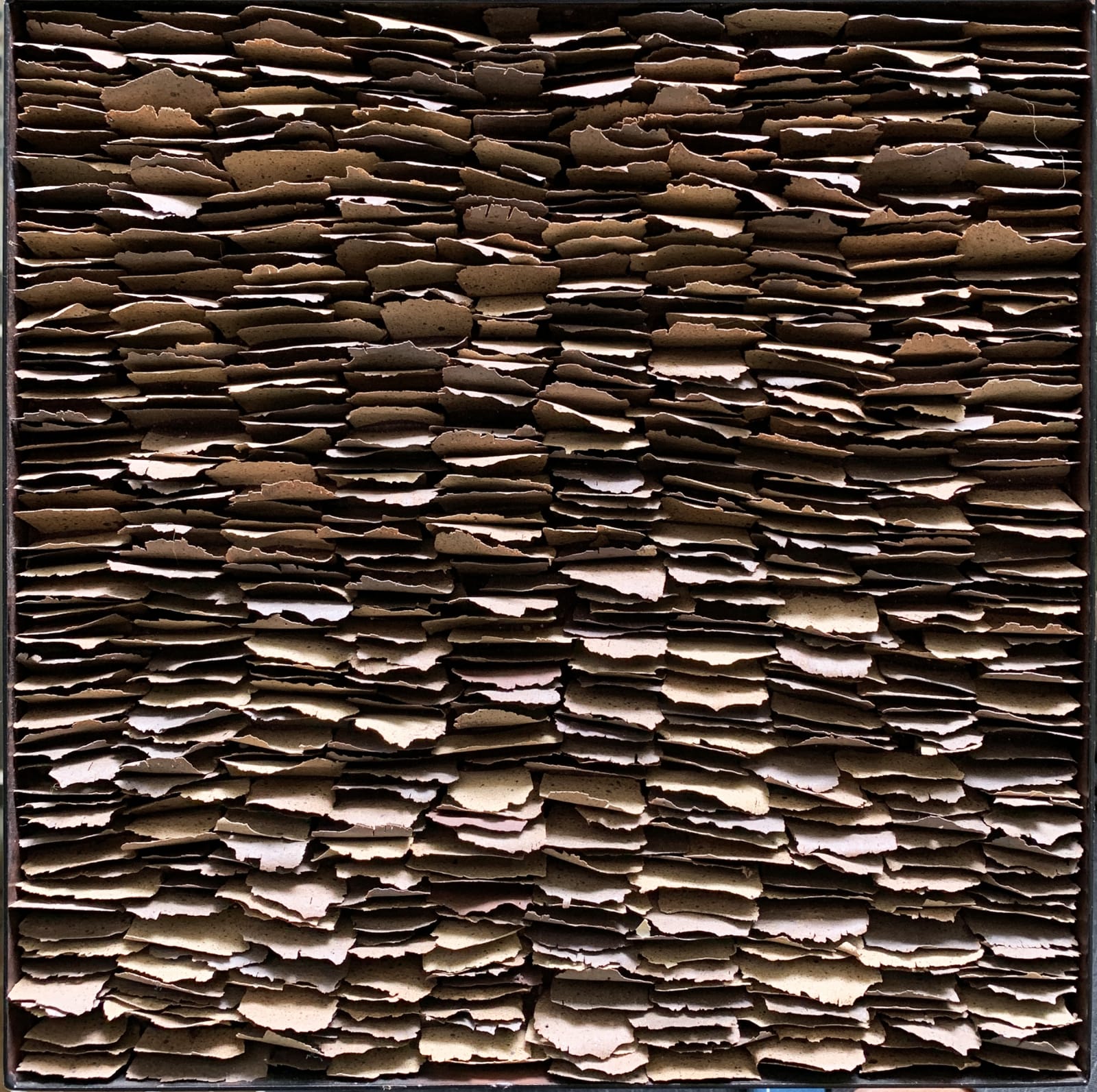 Carol Young, Chip Series No. 11, 2013