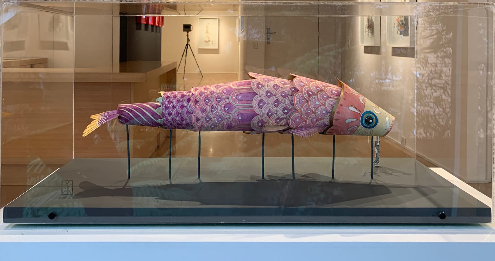 Teresa Currea, Koinobori, 2021