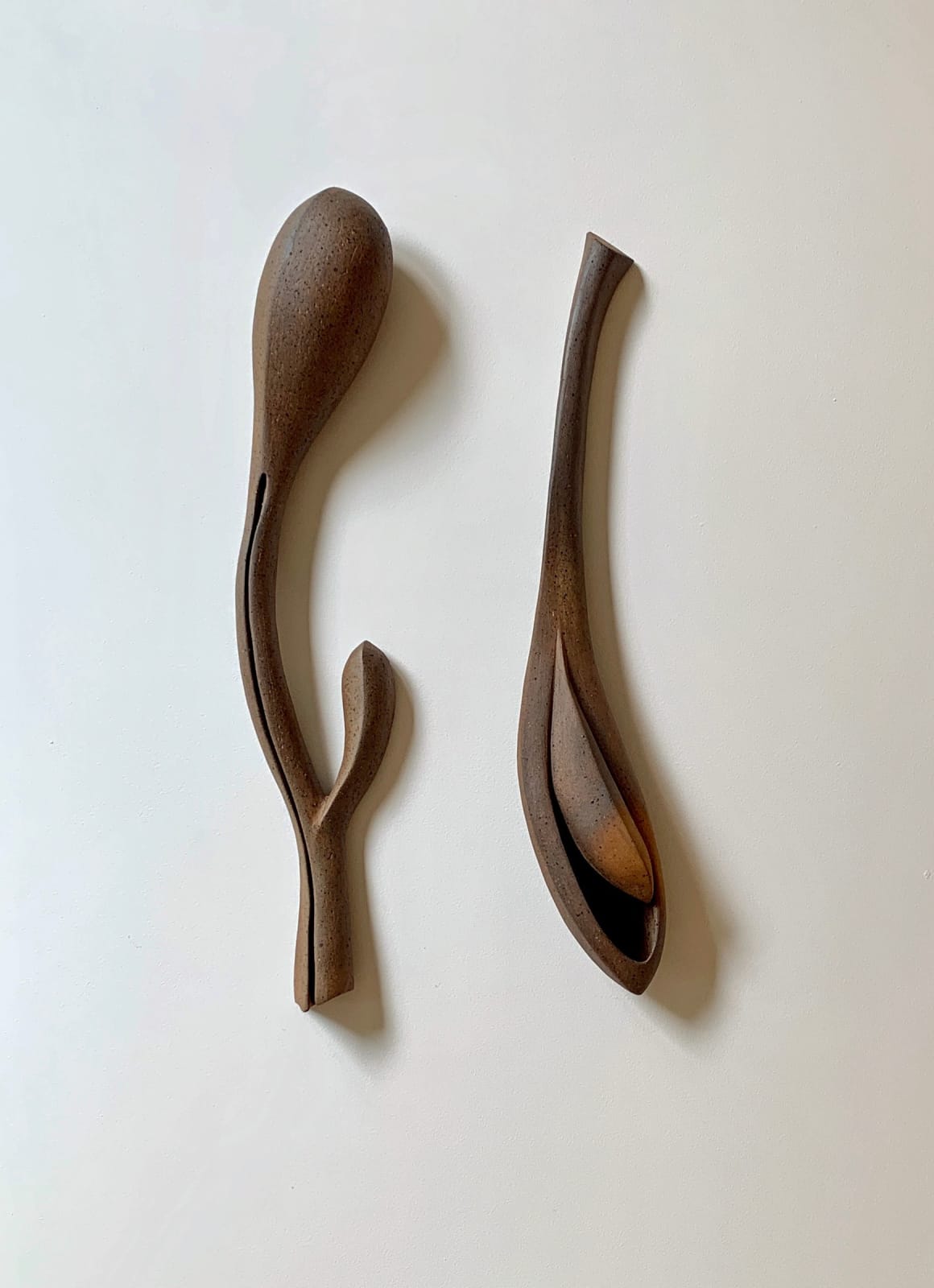 Carol Young, Untitled-Tulip, 2020