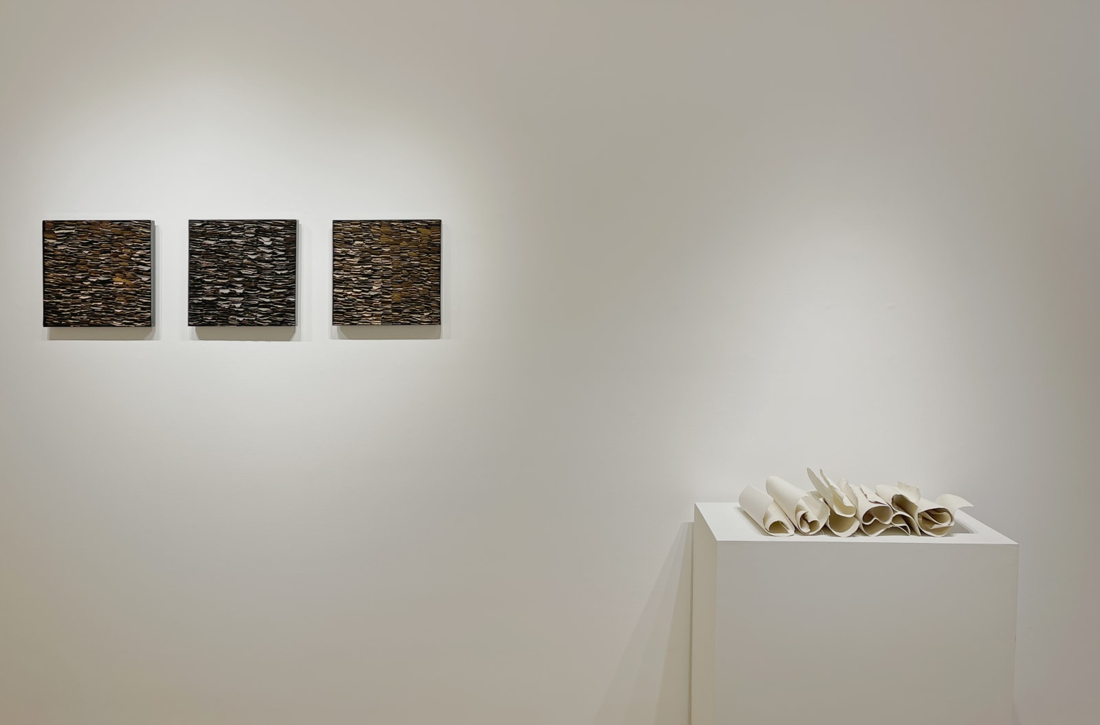 Carol Young, Chip Series No. 1, 2013