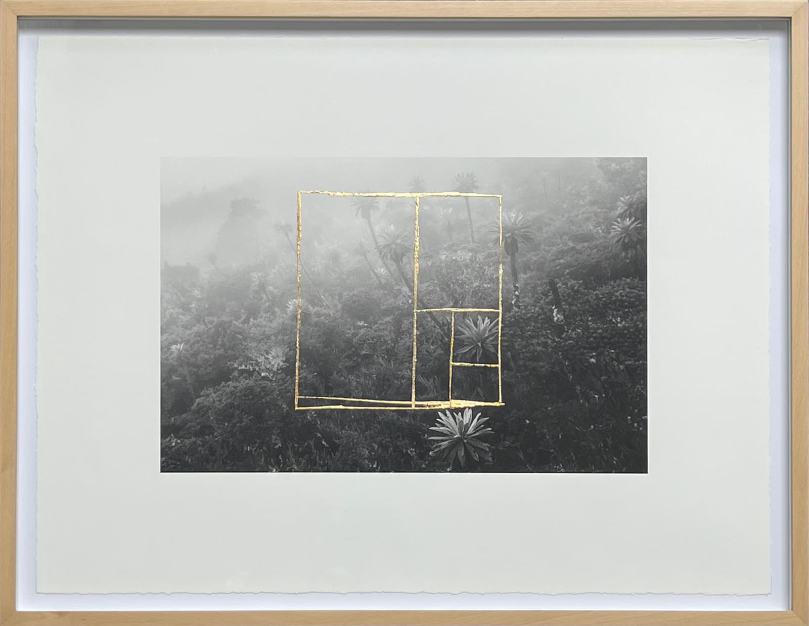 Gabriel Eisenband and Joel Grossman, Untitled 1, 2024