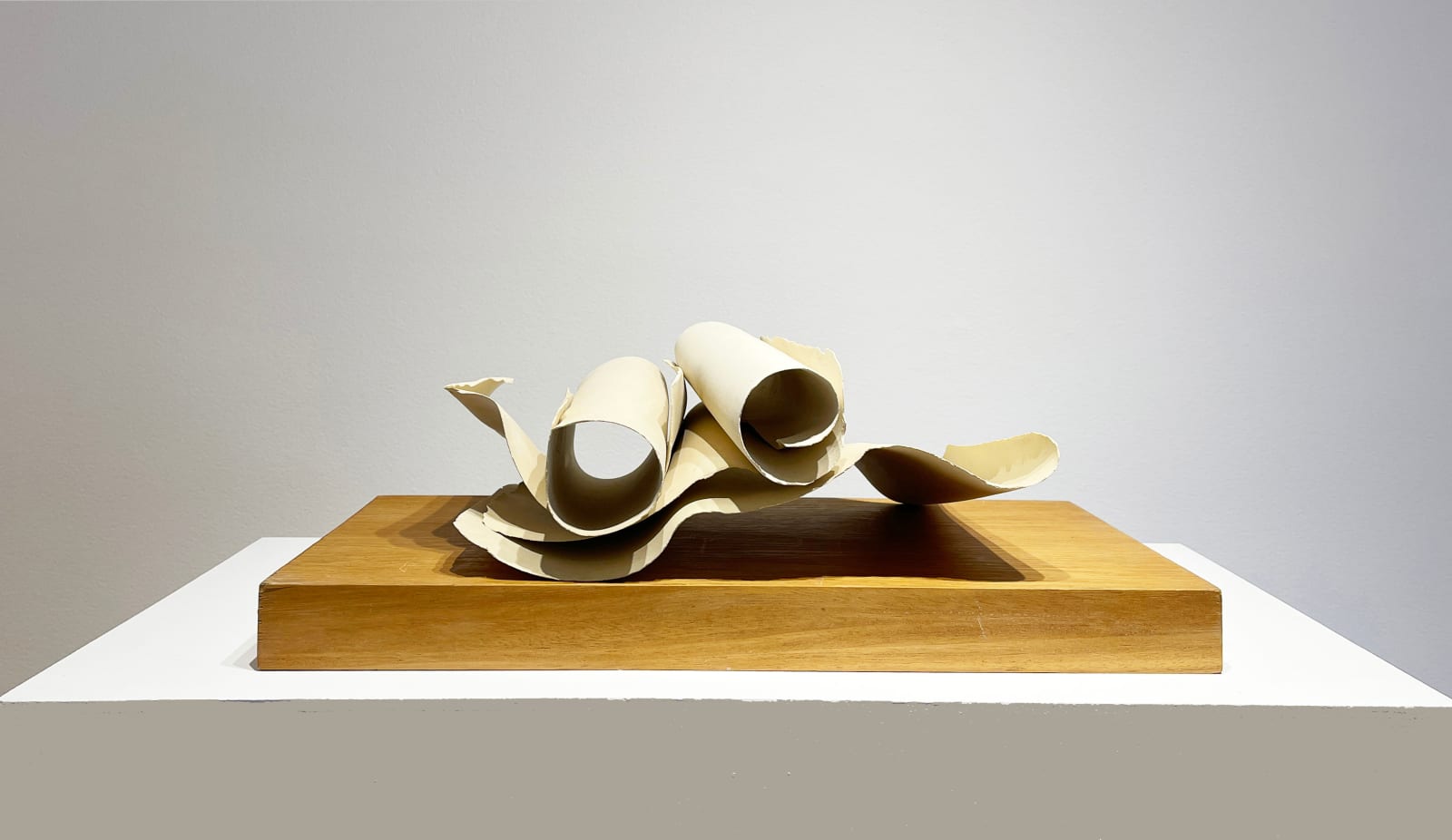 Carol Young, Untitled (Scrolls), 2014
