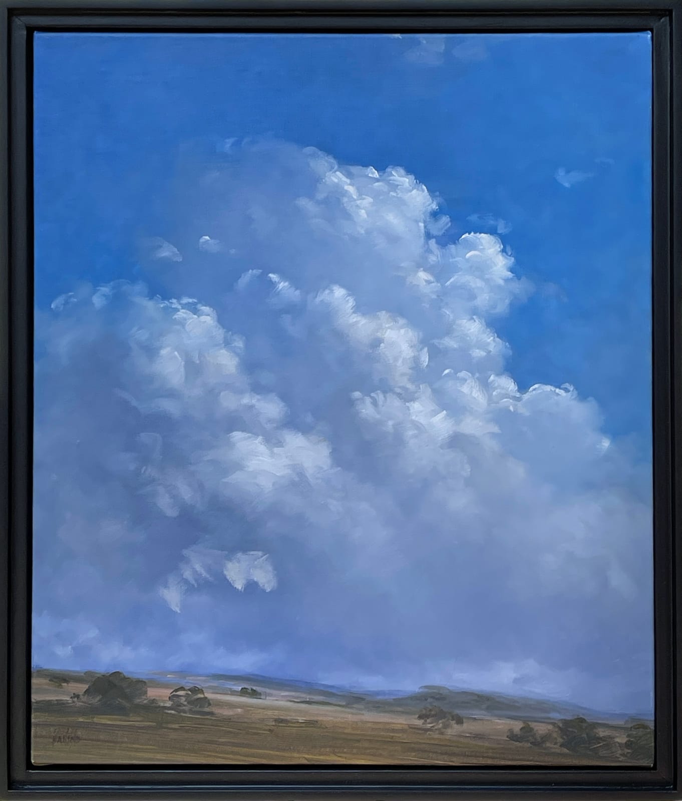 Carlos Nariño, Afternoon Heat, 2023