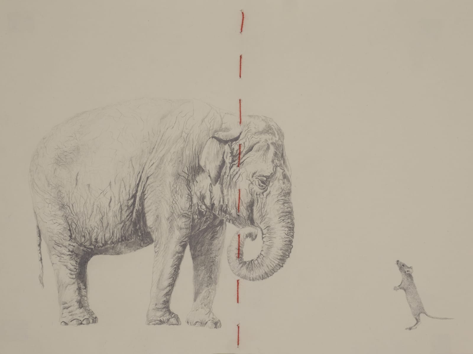 Carlos Alarcon, Par/adox Series - Elephant and Mouse, 2020