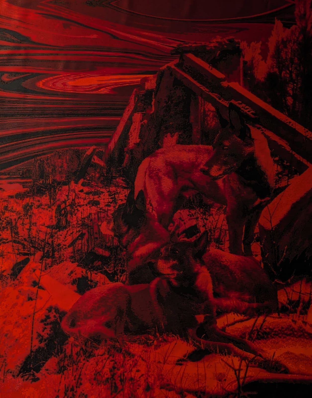 Javier Garcerá, S/T, 2024