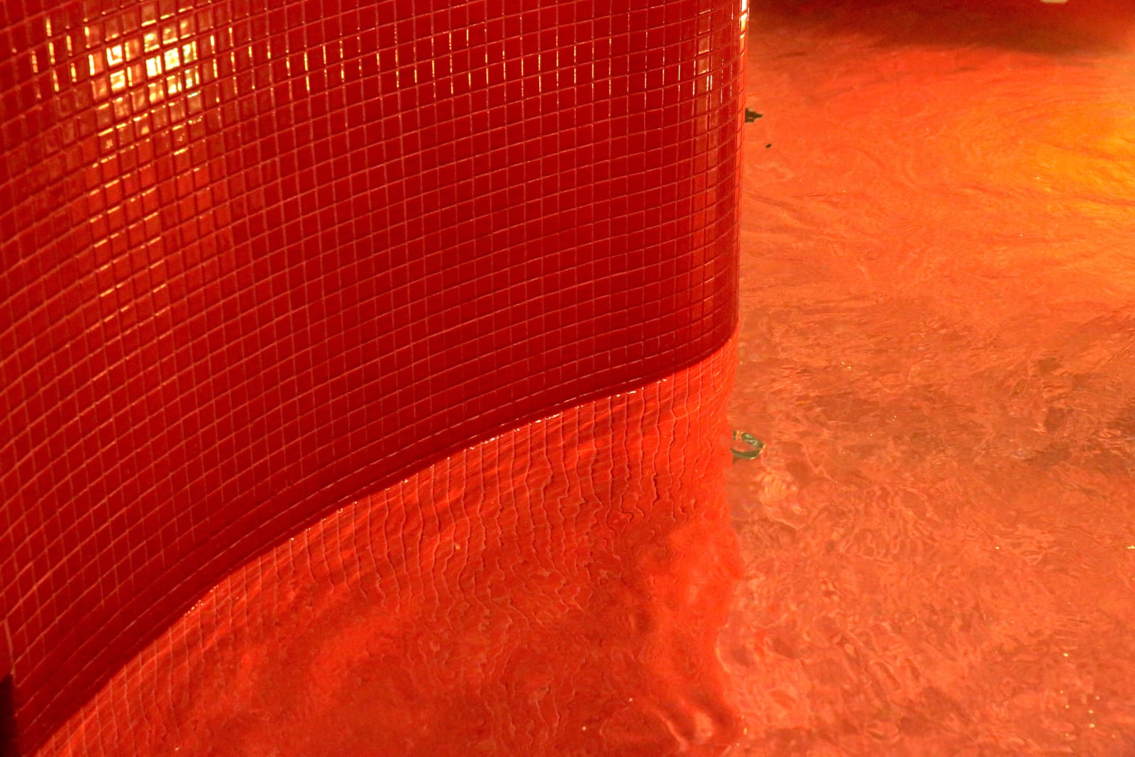 Maritza Caneca, RED, 2019