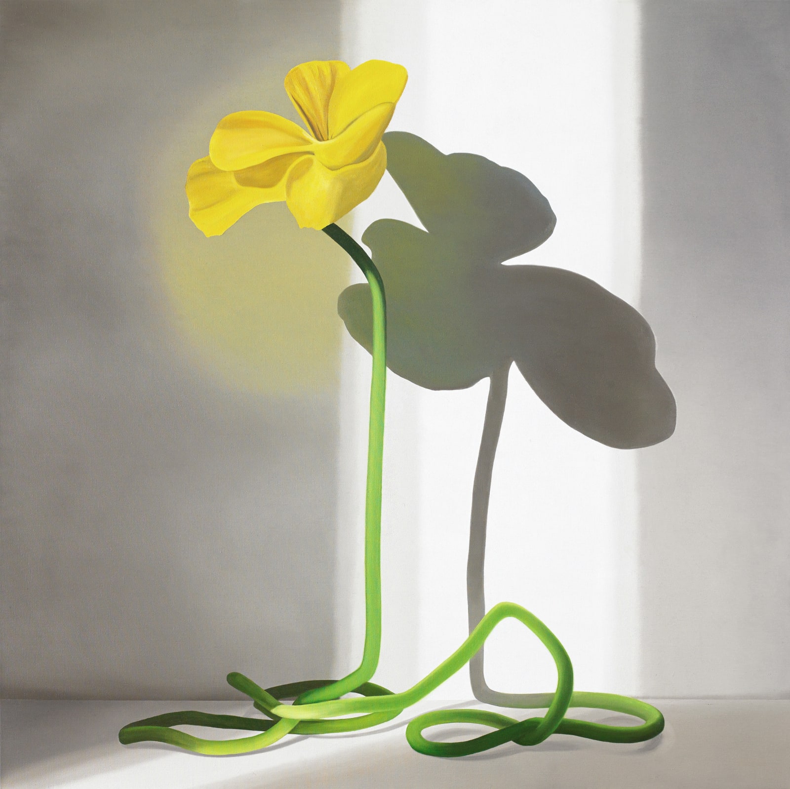 Karen Holländer, Im Licht betrachtet 2, 2022