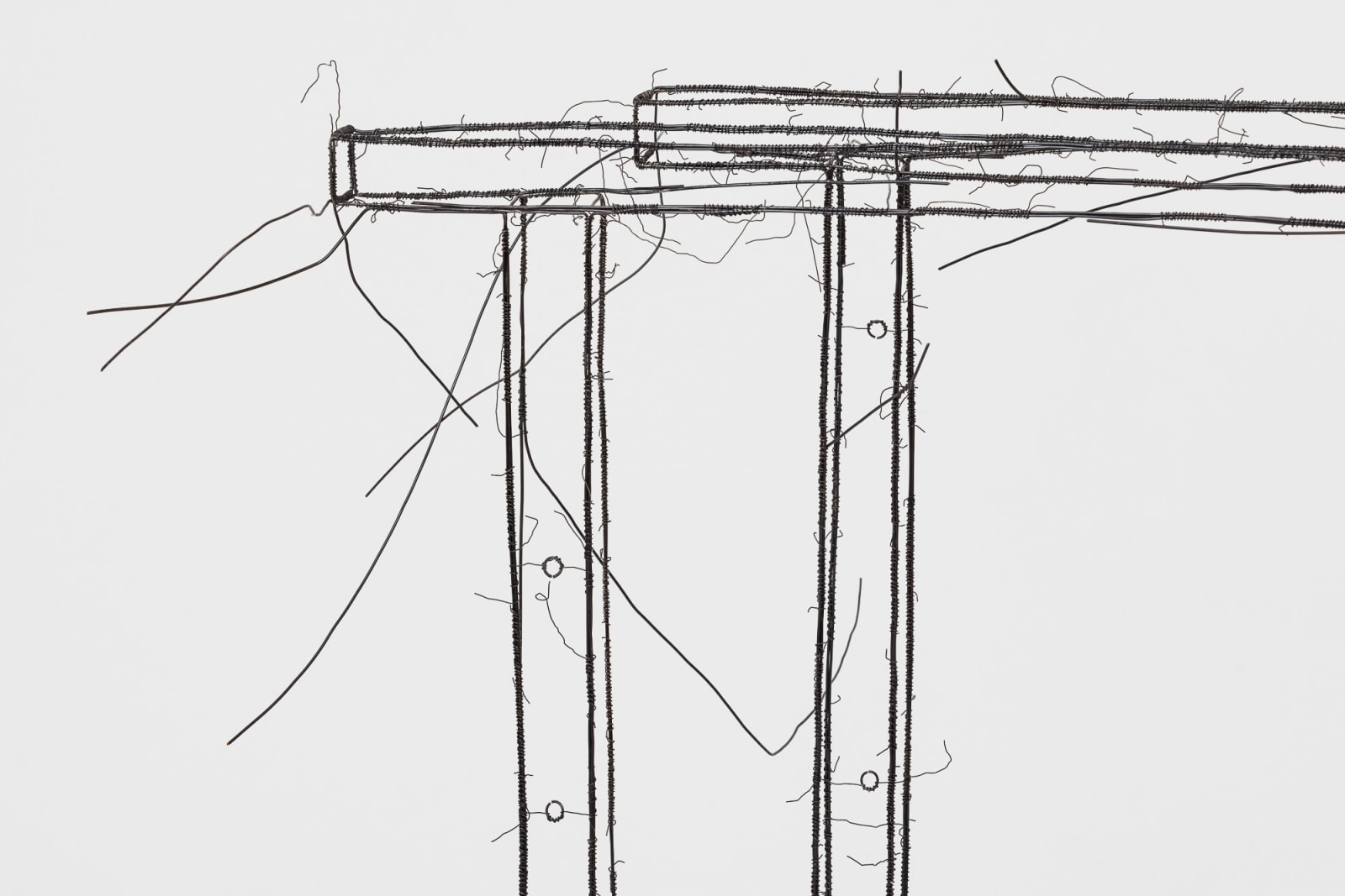 Fritz Panzer, Böcke, 2023