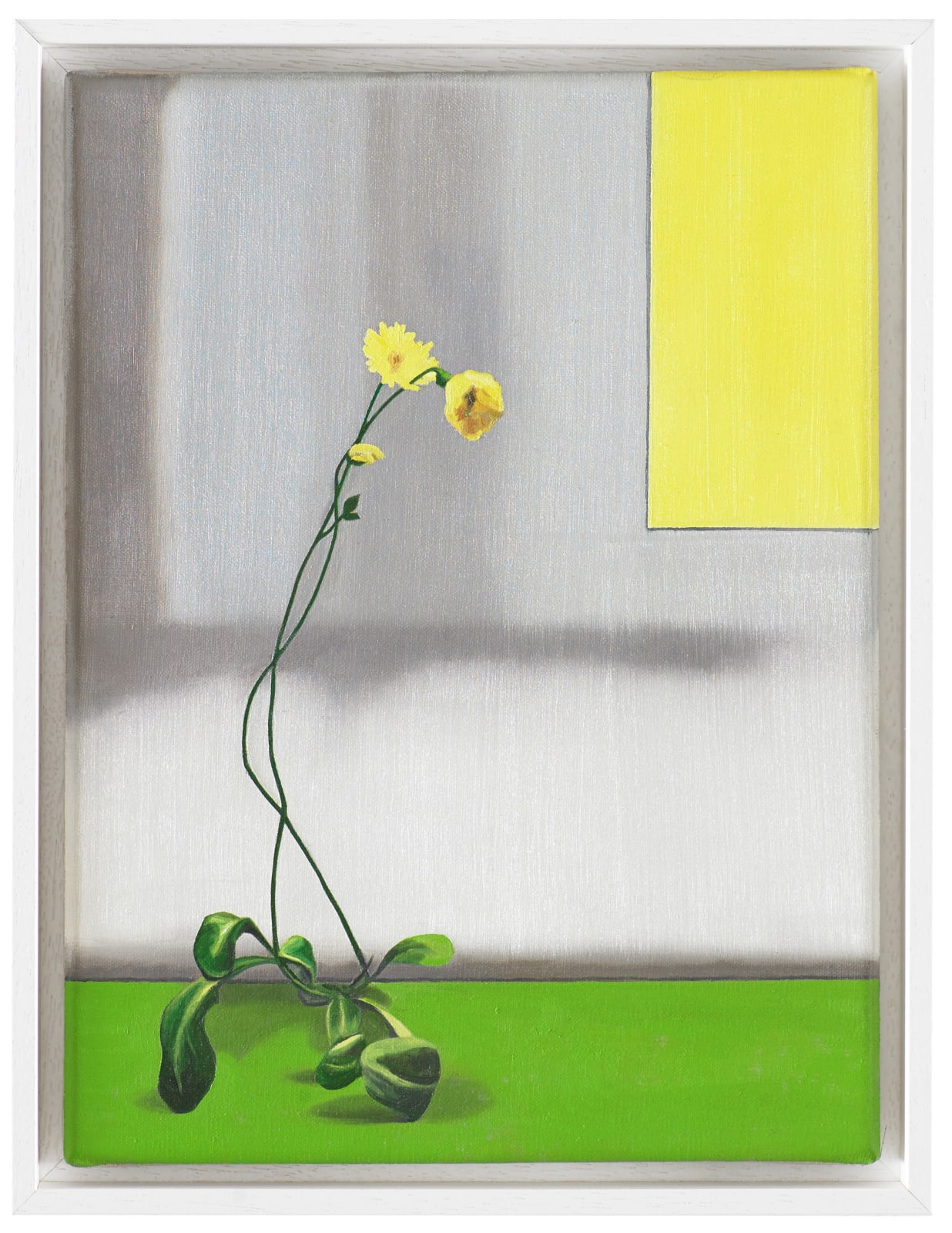 Karen Holländer, Zum Gelb Hinwachsen 2, 2022