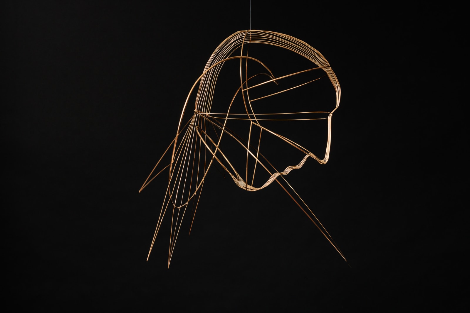 Constantin Luser, R9 Wandtrophäe, 2023