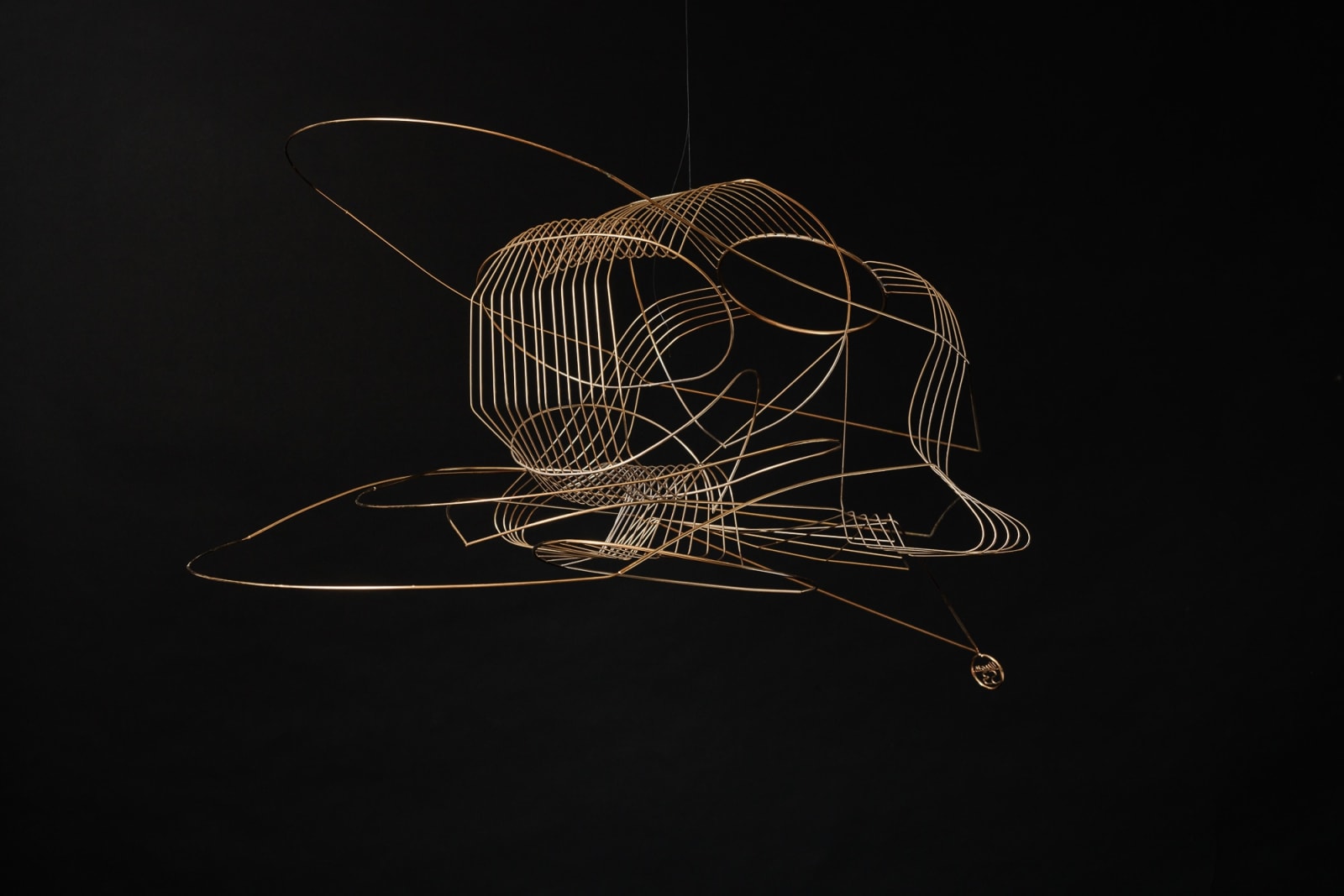 Constantin Luser, S3, 2023