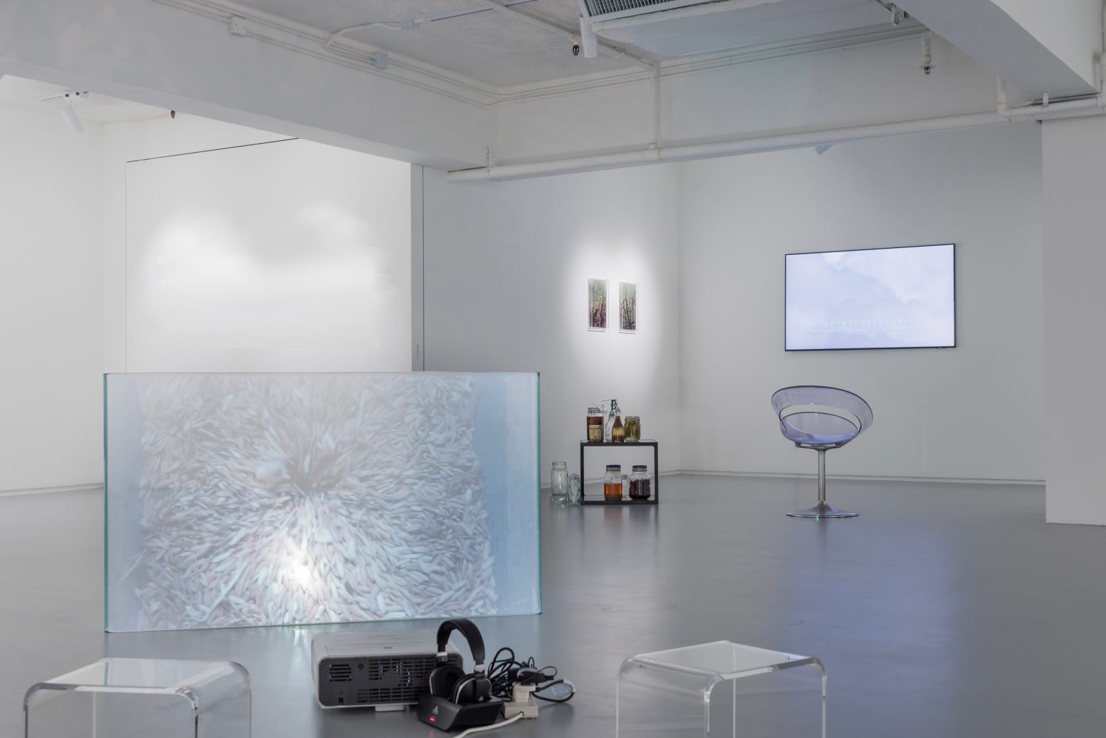 Natalie Lo Lai Lai, The Fire in the Glacier 《冰川之火》, 2022