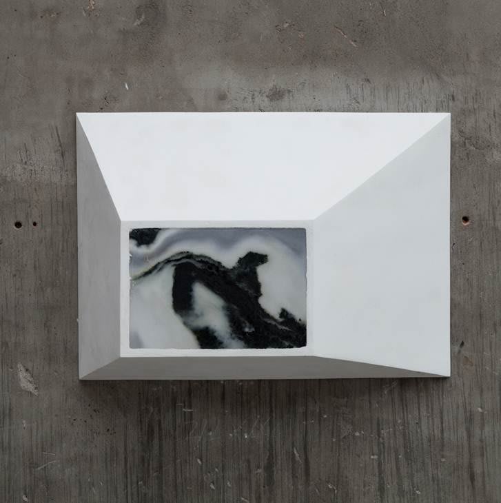 Not Vital, Animal, 2013