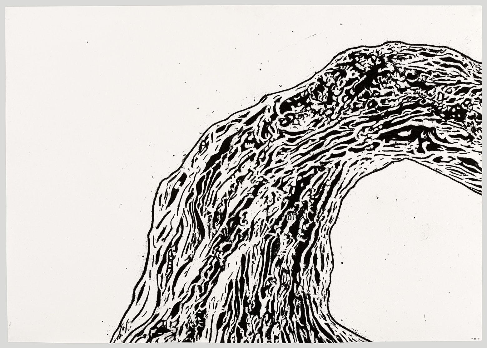 Tony Bevan, Trunk (PP1533), 2015