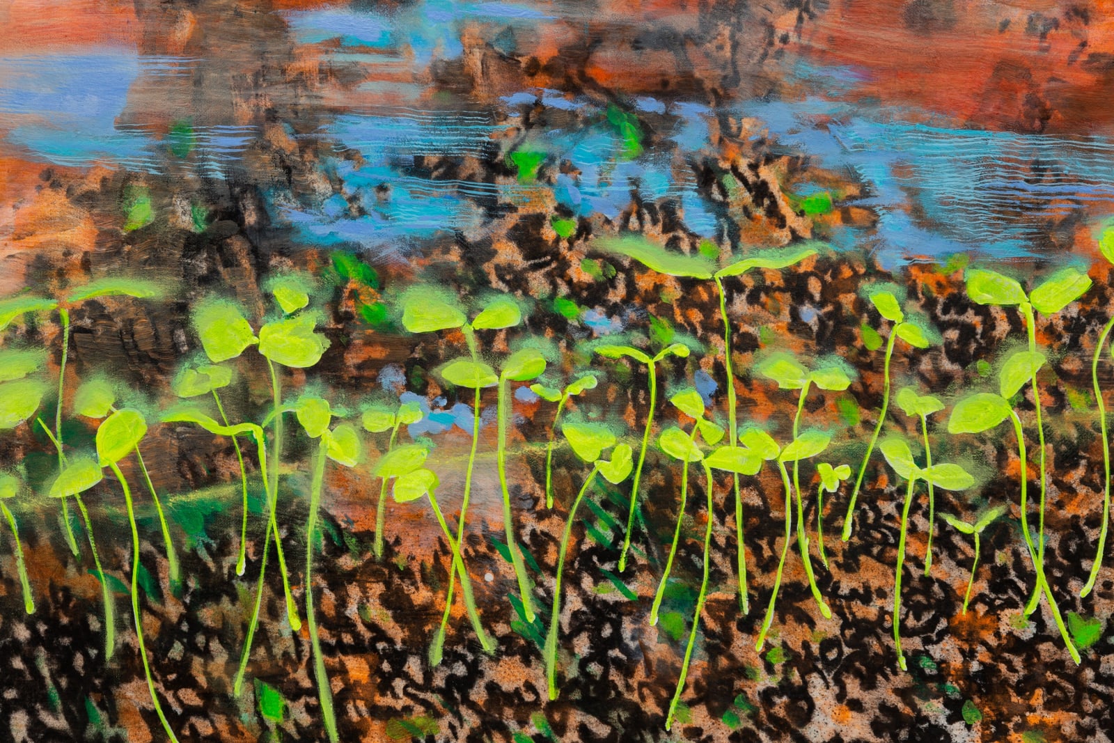 Ena Swansea, #250 muddy creek, 2020-24