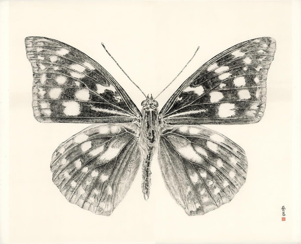 Zhang Yirong, Butterfly I, 2014