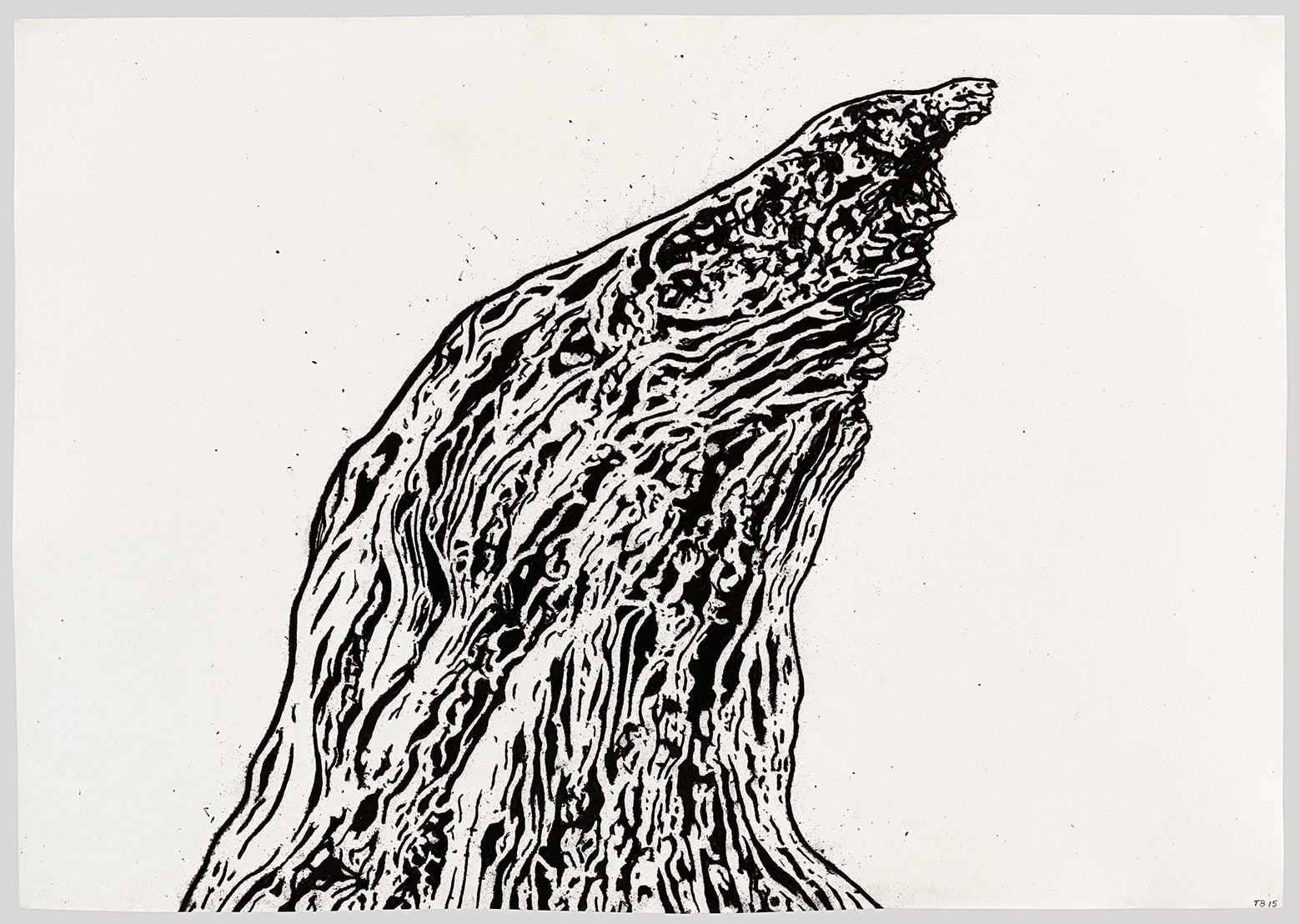Tony Bevan, Trunk (PP1534), 2015