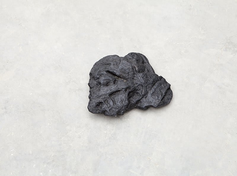 Not Vital, (Mongolian) Cow Dung, 2013