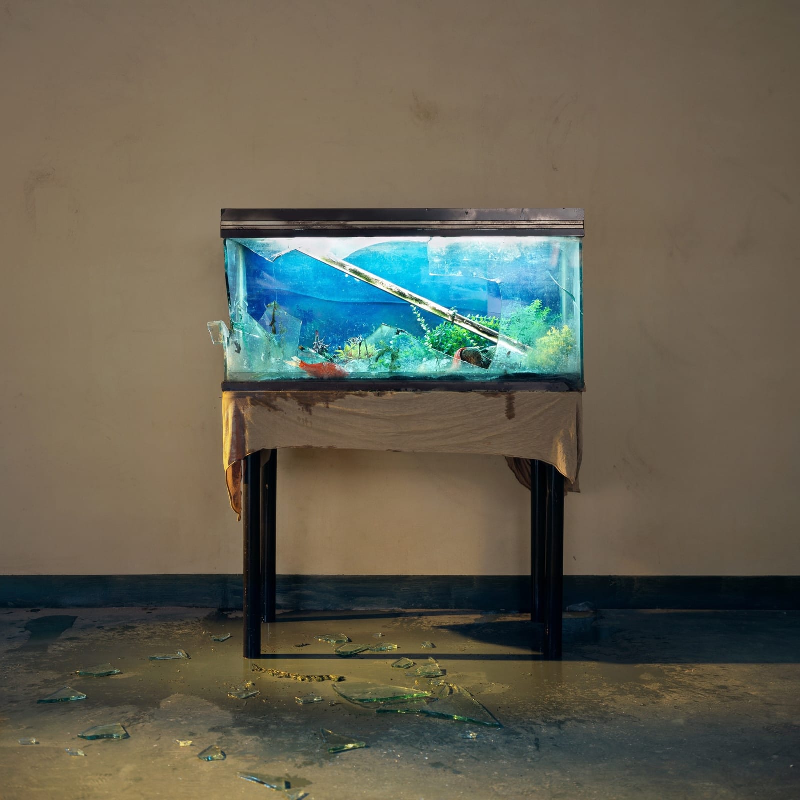 chen wei broken aquarium 2009 ben brown