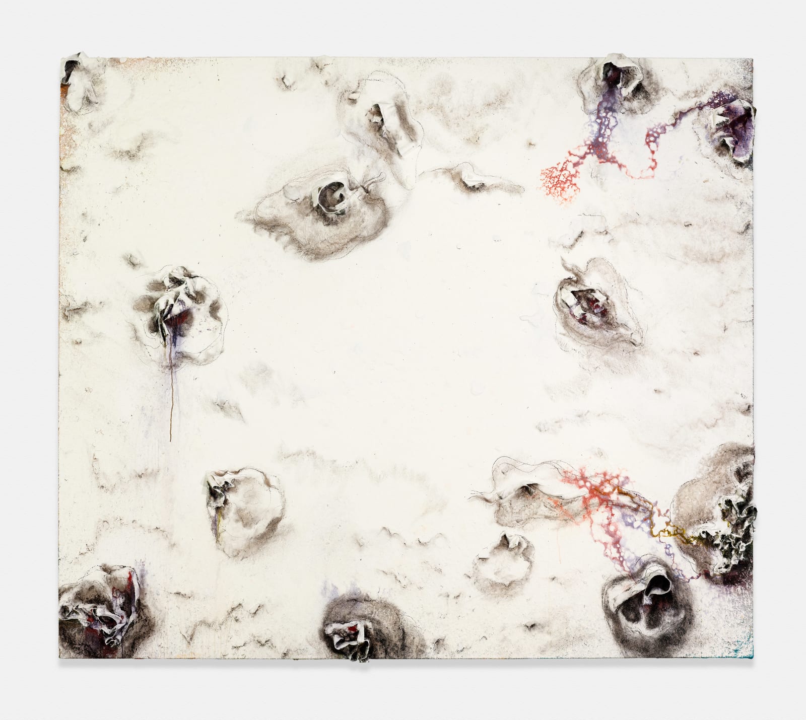 Miquel Barceló, Des Tomates Blancs, 2010