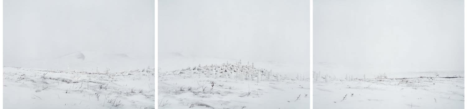 Jiang Pengyi, White Pills No. 6, 2010