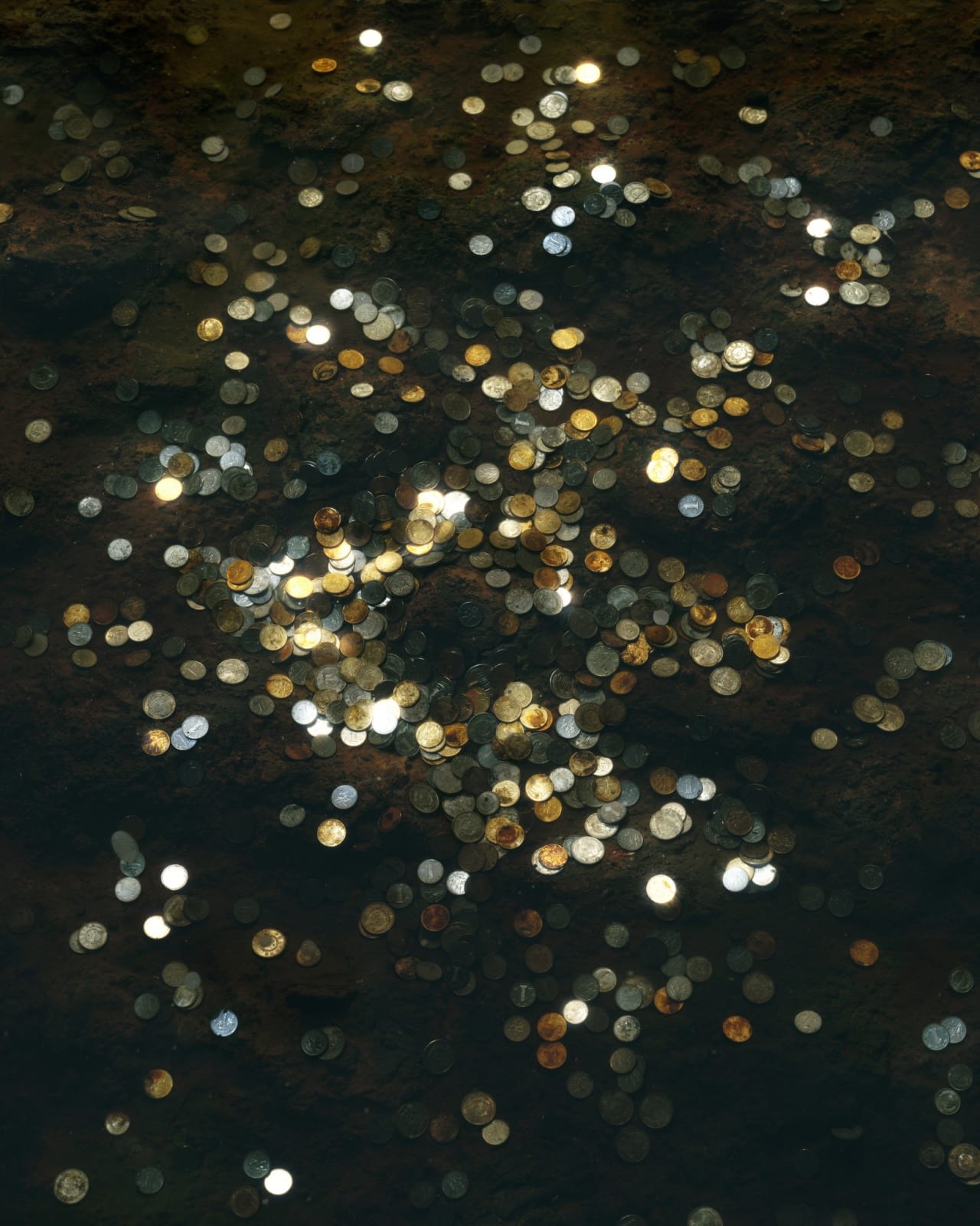 Chen Wei, Coins #4, 2012