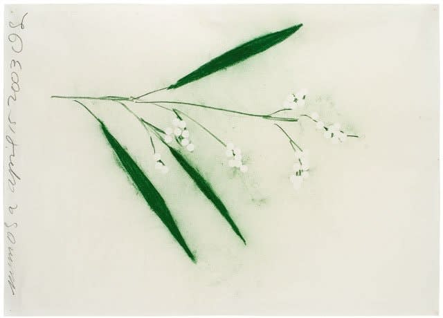 Donald Sultan, Mimosa April 15 2003, 2003
