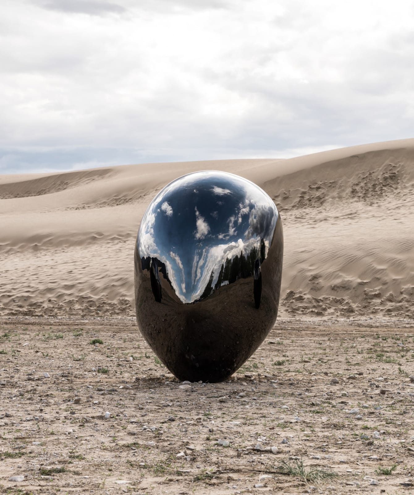 Not Vital, Head No. 5, 2013