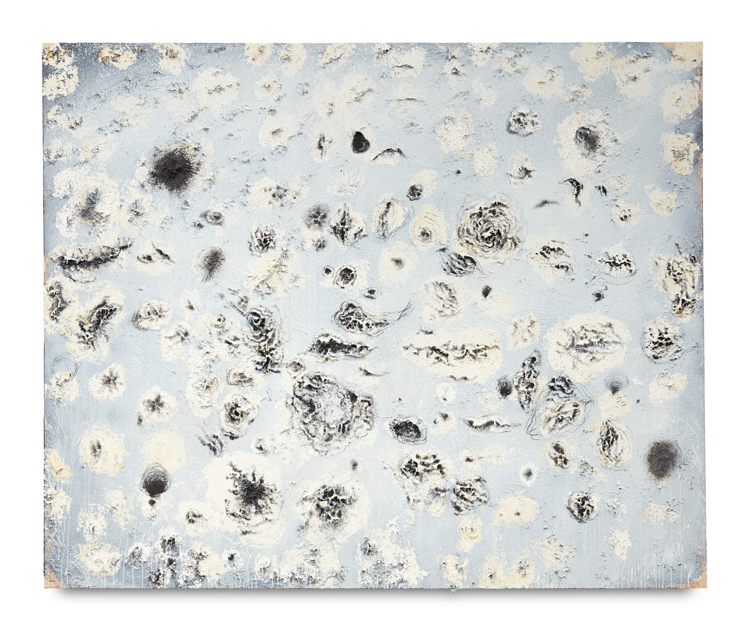 Miquel Barceló, Bodegón avec Protozoaires et Trous Noirs, 2003