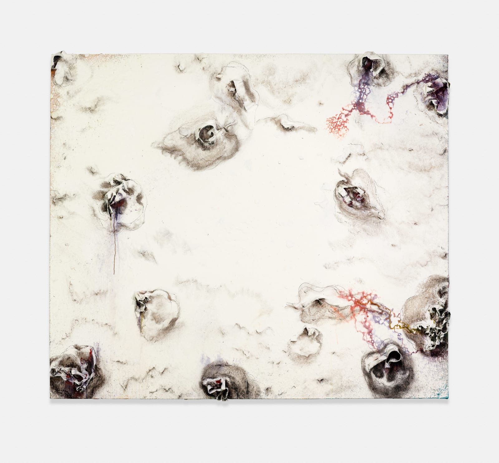 Miquel Barceló, Des Tomates Blancs, 2010
